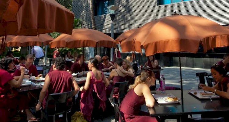 On Dairy Products at the Meditation Resort