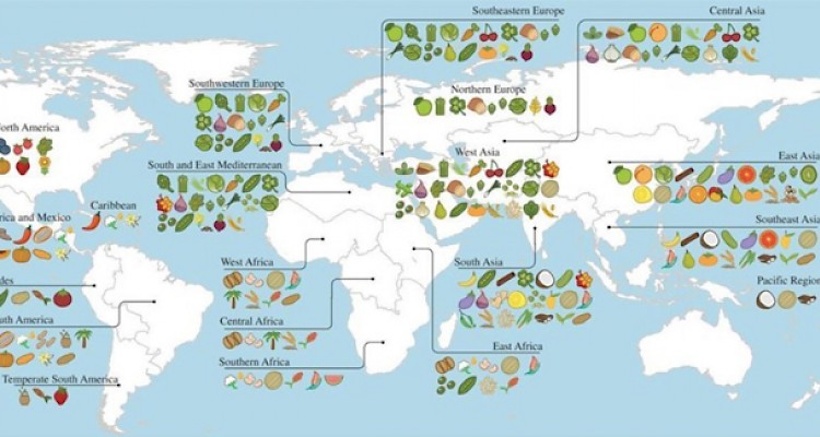 Global Food and Macrobiotics