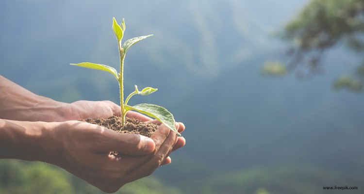 Macrobiotics and the Environment