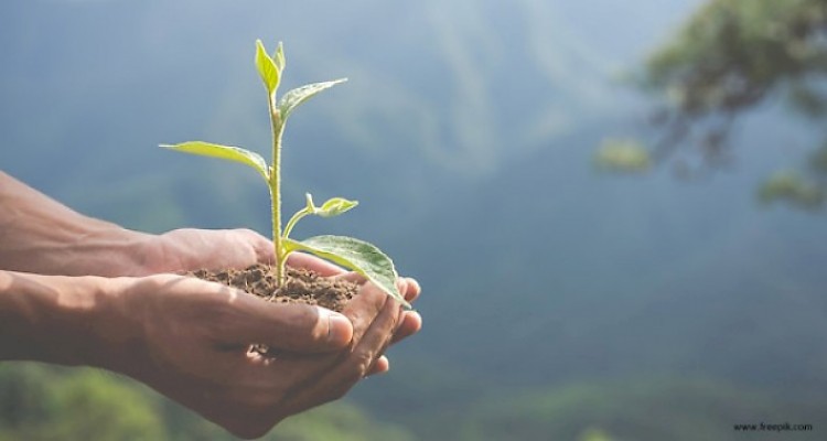 Macrobiótica e o Meio Ambiente [PT]