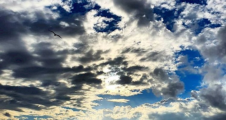 10 dicas de sobrevivência para atravessarmos Tempos Interessantes